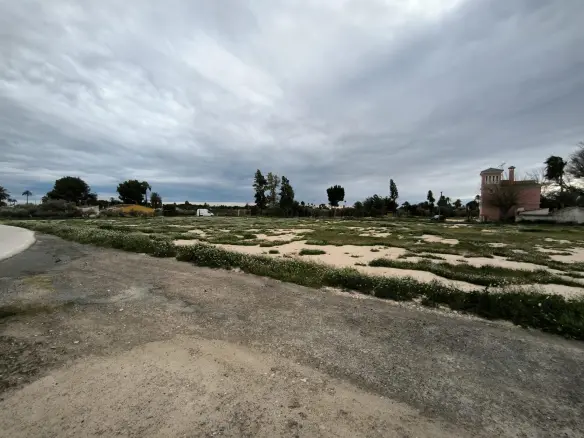 Country Land In Elche Pedanias, Spain (4.037 M² Plot)