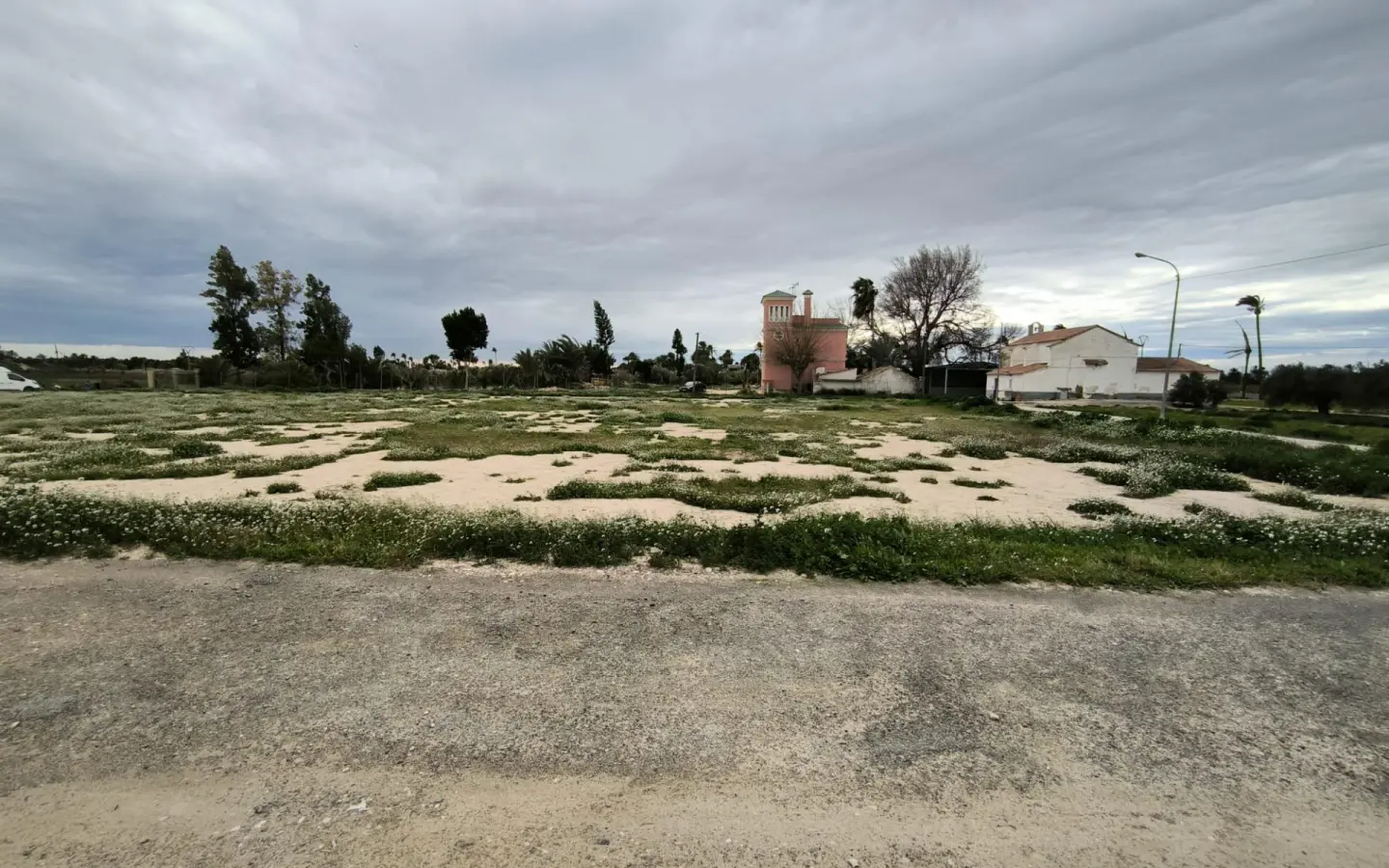 Country Land In Elche Pedanias, Spain (4.037 M² Plot)