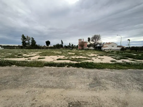 Country Land In Elche Pedanias, Spain (4.037 M² Plot)