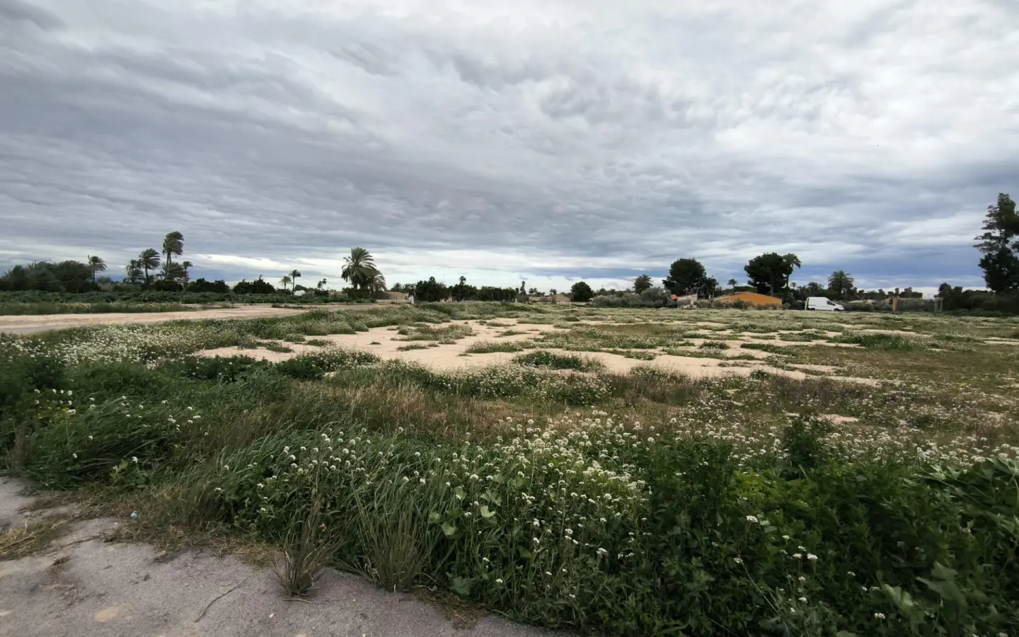 Country Land In Elche Pedanias, Spain (4.037 M² Plot)