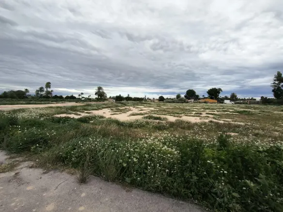 Country Land In Elche Pedanias, Spain (4.037 M² Plot)