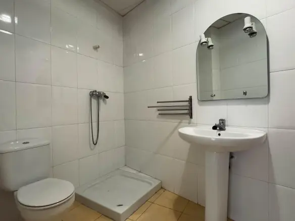 Commercial Unit In Elche, Spain (235 M²)