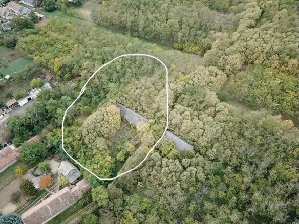 Secluded Rural Adobe House In Forest Setting – Tolna County