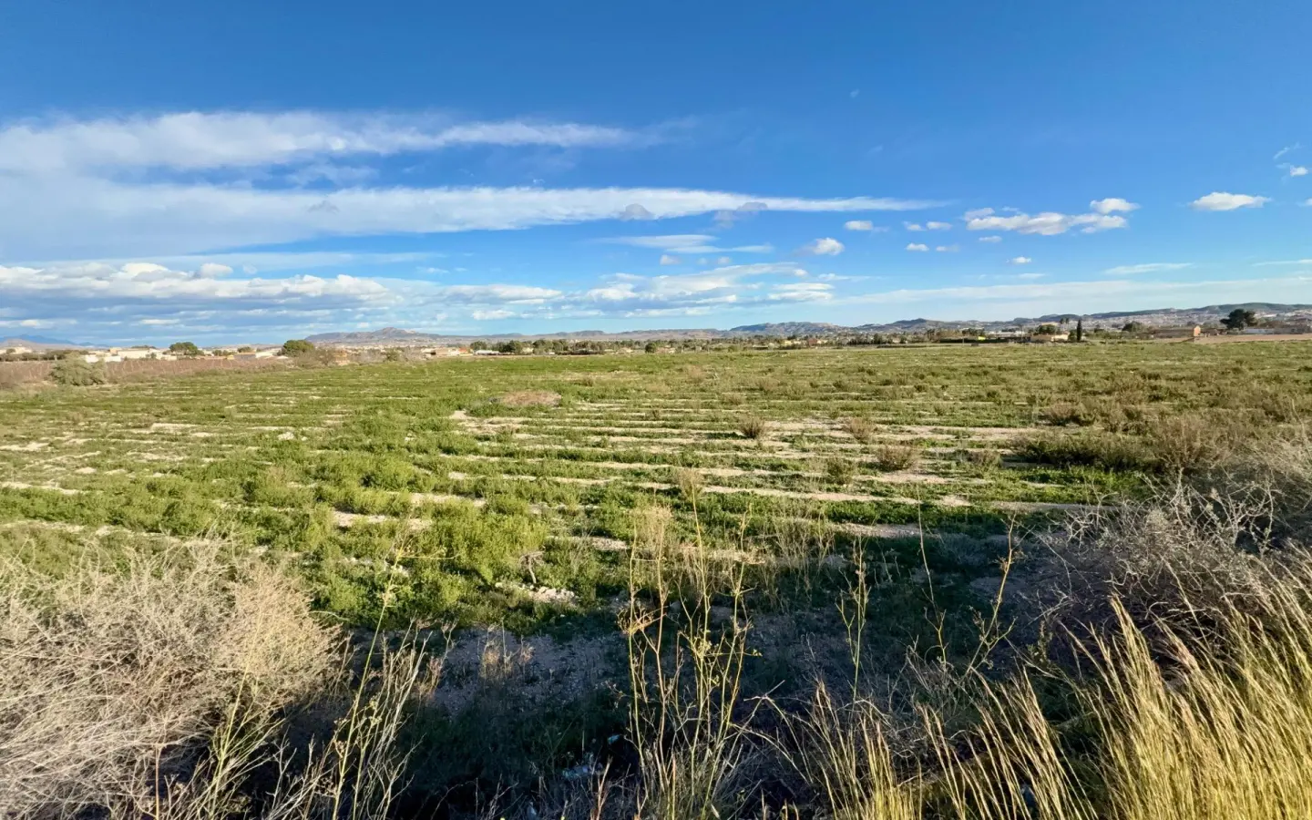 Country Land In Novelda, Spain (12.000 M² Plot)