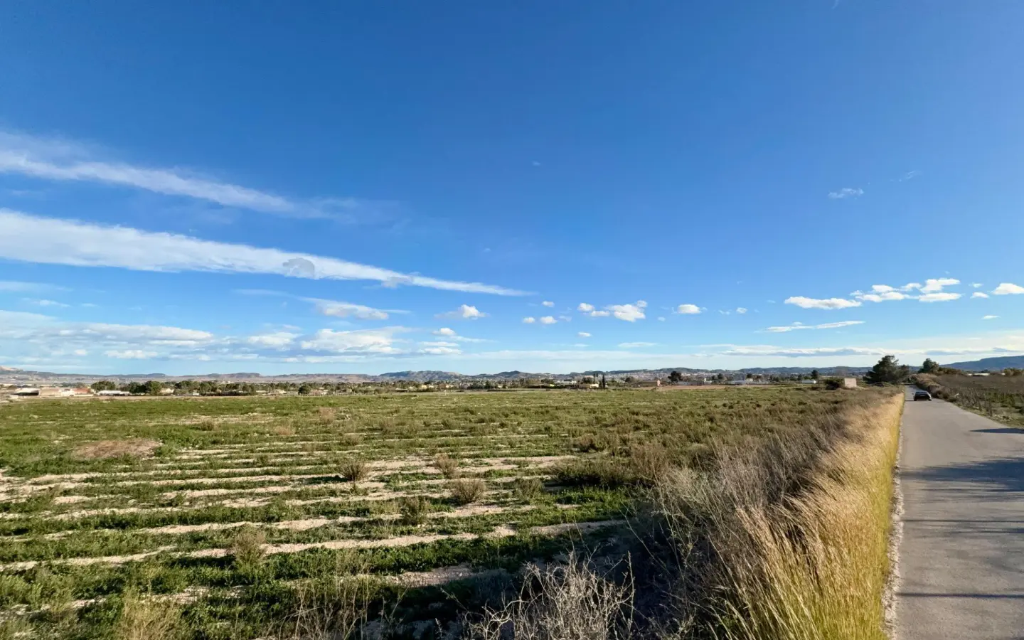 Country Land In Novelda, Spain (12.000 M² Plot)