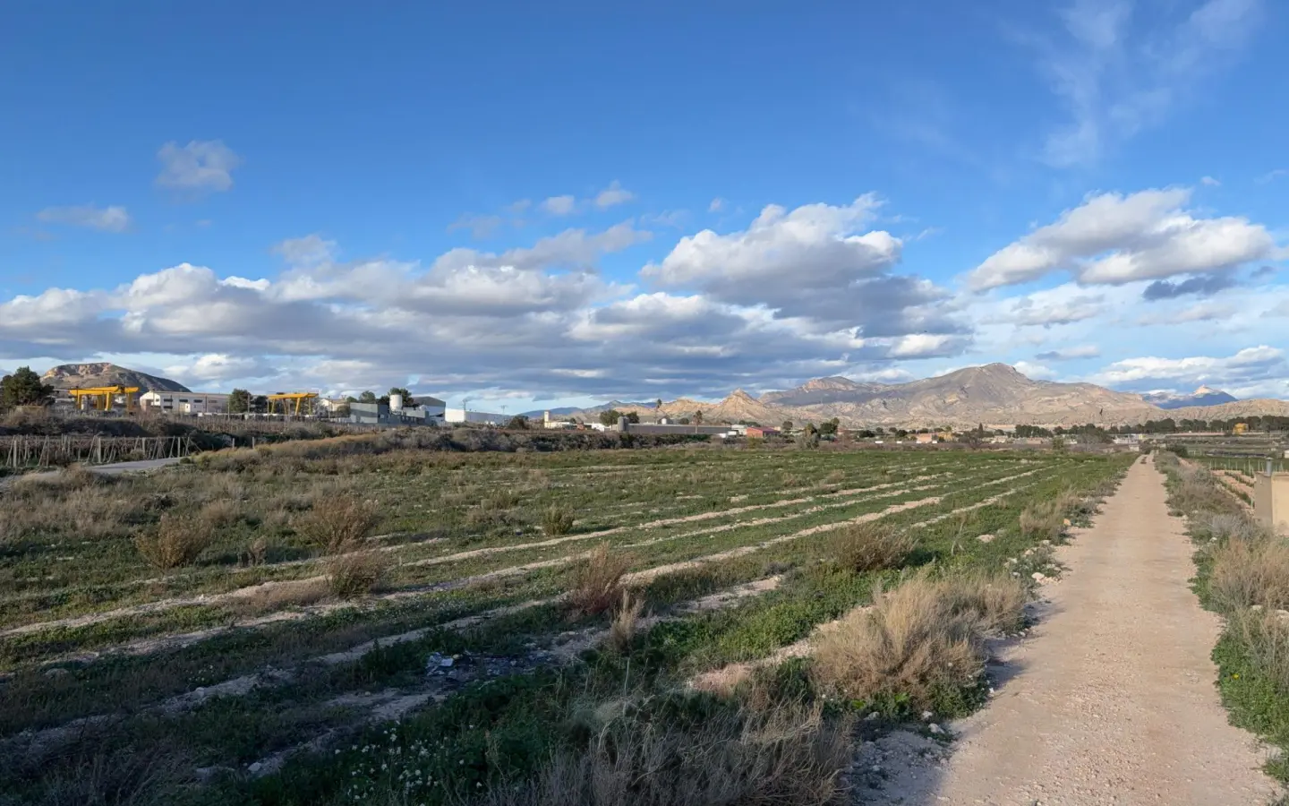 Land In Novelda, Spain (22.666 M² Plot)