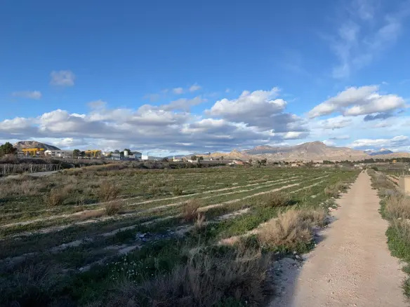 Land In Novelda, Spain (22.666 M² Plot)