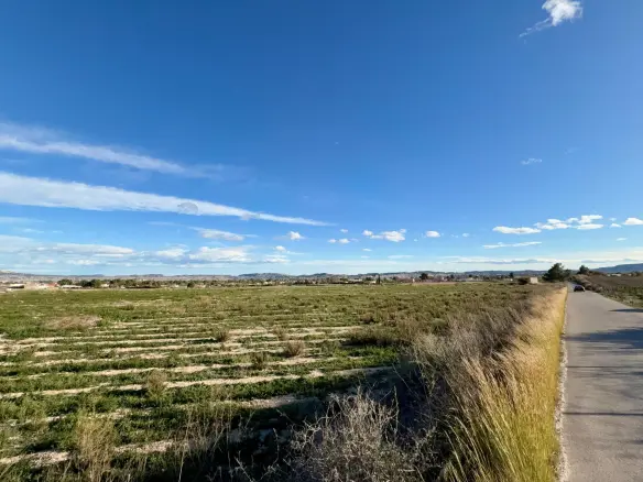 Land In Novelda, Spain (22.666 M² Plot)