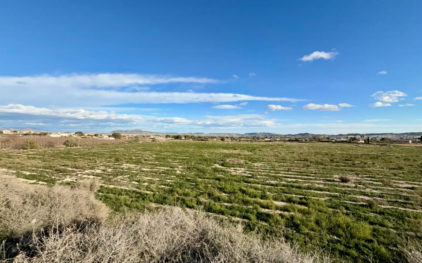 Land In Novelda, Spain (22.666 M² Plot)