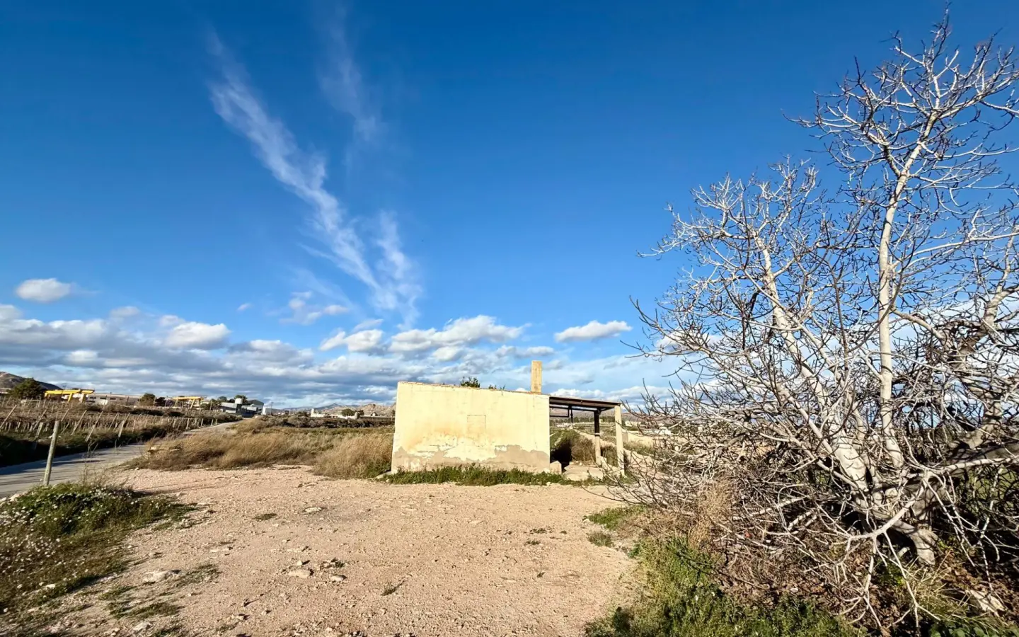 Land In Novelda, Spain (22.666 M² Plot)