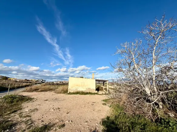 Land In Novelda, Spain (22.666 M² Plot)