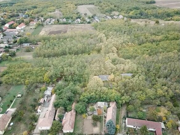 Secluded Rural Adobe House In Forest Setting – Tolna County