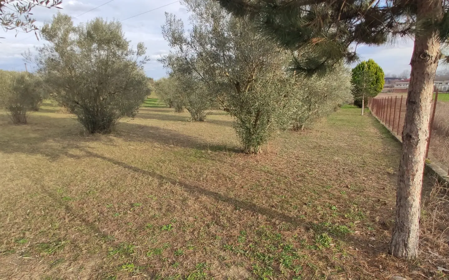 3-bedroom Detached House In Katerini, Greece (156 M²)