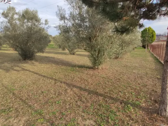 3-bedroom Detached House In Katerini, Greece (156 M²)