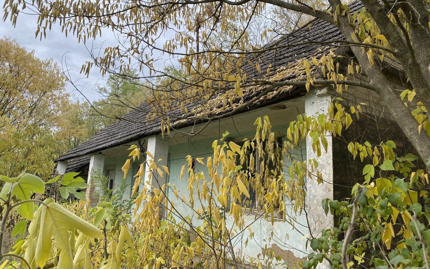 Secluded Rural Adobe House In Forest Setting – Tolna County