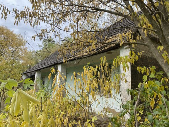 Secluded Rural Adobe House In Forest Setting – Tolna County