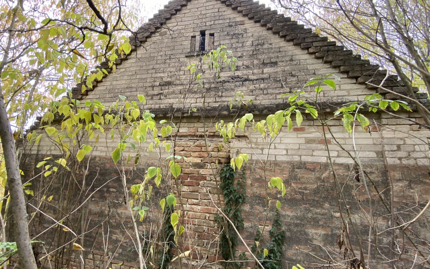 Secluded Rural Adobe House In Forest Setting – Tolna County