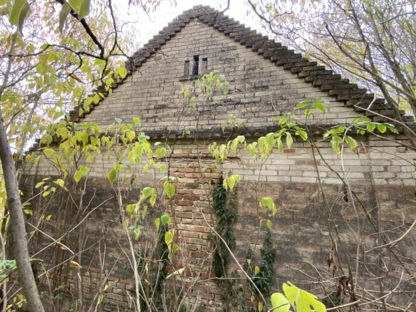 Secluded Rural Adobe House In Forest Setting – Tolna County