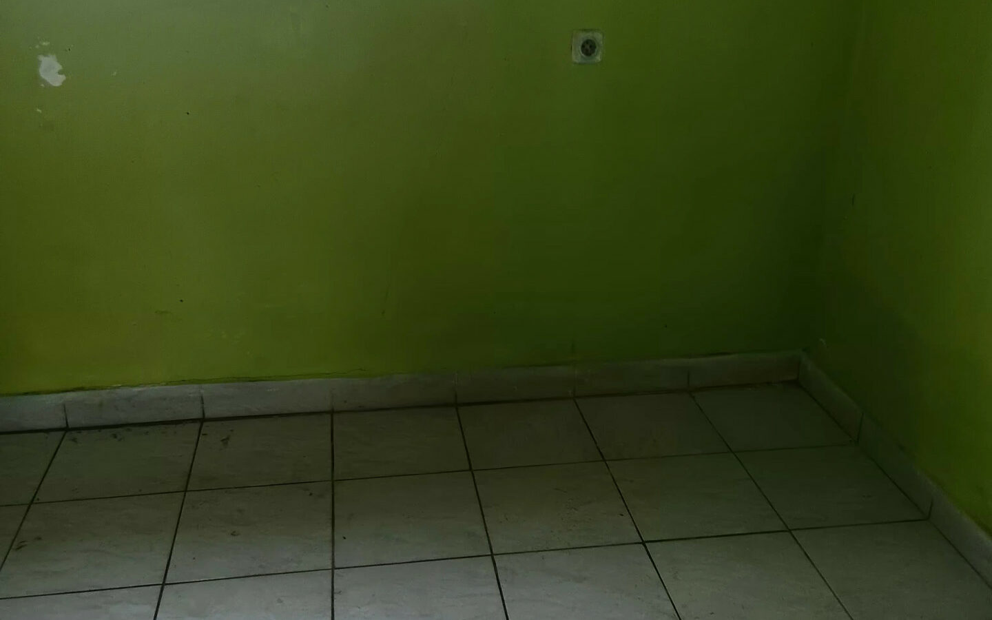 Spacious Rural Home With Large Plot In Peaceful Mike Village
