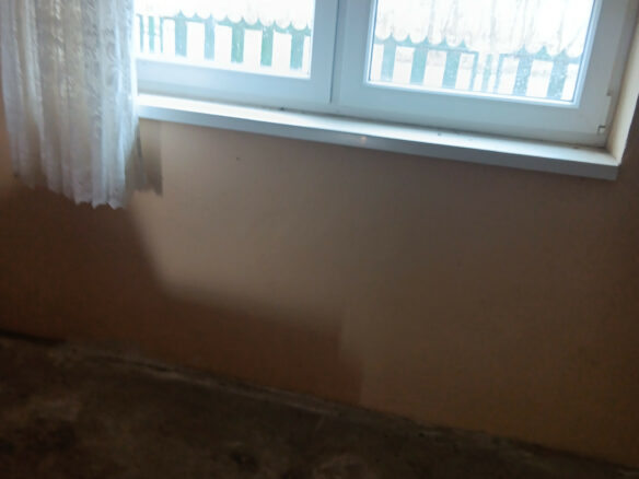 Spacious Rural Home With Large Plot In Peaceful Mike Village