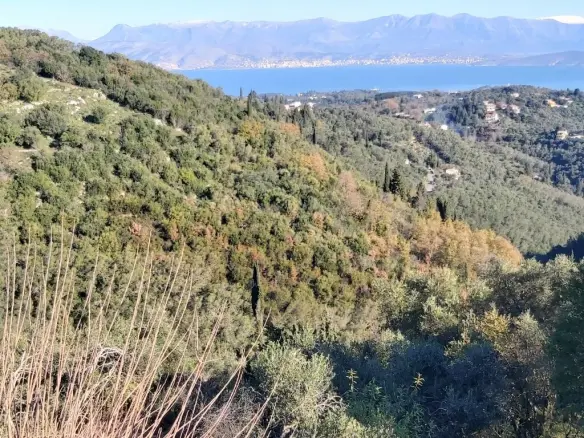 Land In Corfu, Greece