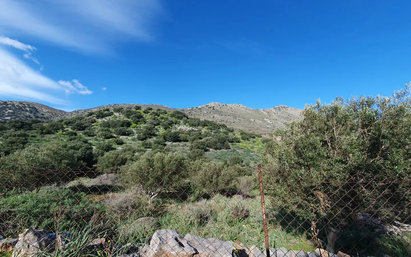 Land In Agios Nikolaos, Greece