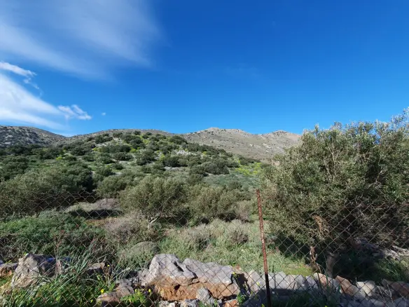 Land In Agios Nikolaos, Greece