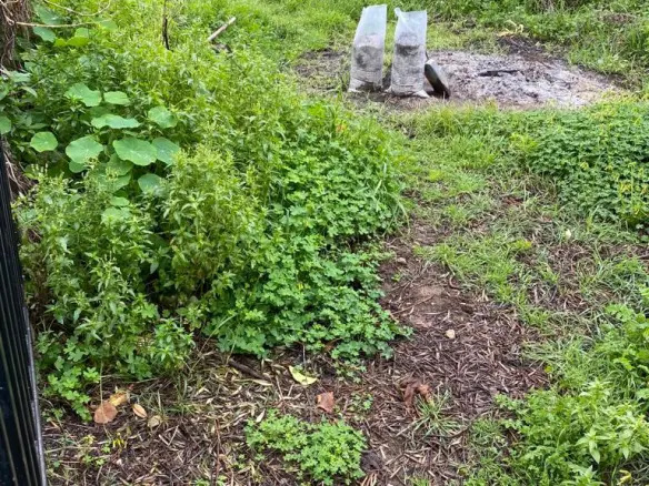 Land In Nea Kidonia, Greece