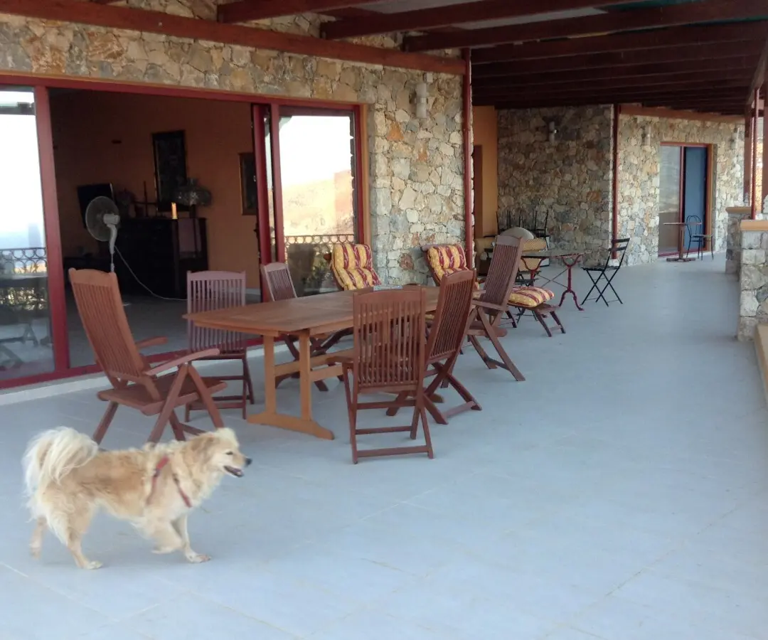 Business In Greece (402 M²)