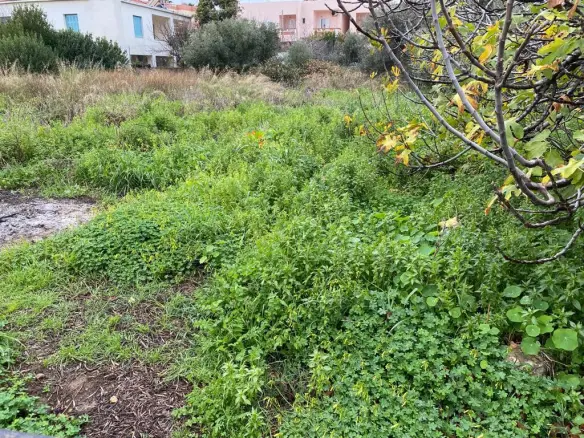 Land In Nea Kidonia, Greece