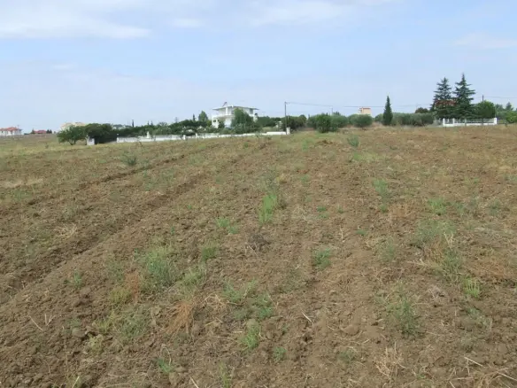 Land In Epanomi, Greece