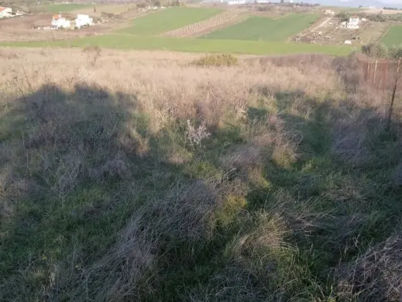 Land In Thermaikos, Greece (5.856 M²)