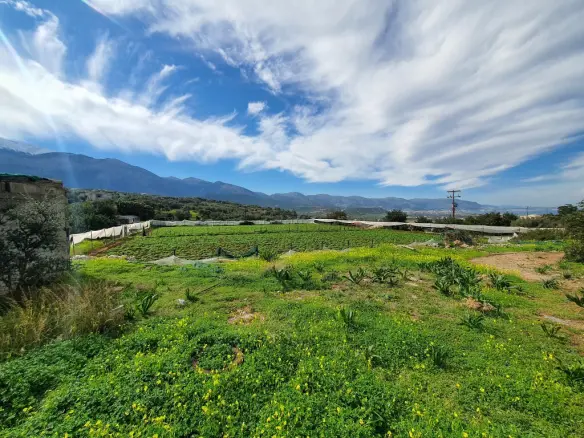 Land In Vrachasi, Greece