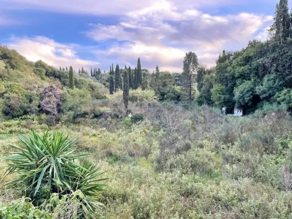 Land In Corfu, Greece