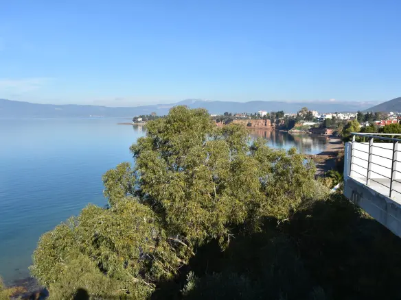 Flat In Greece (1.406 M²)