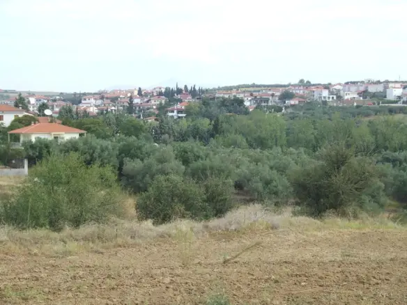 Land In Epanomi, Greece