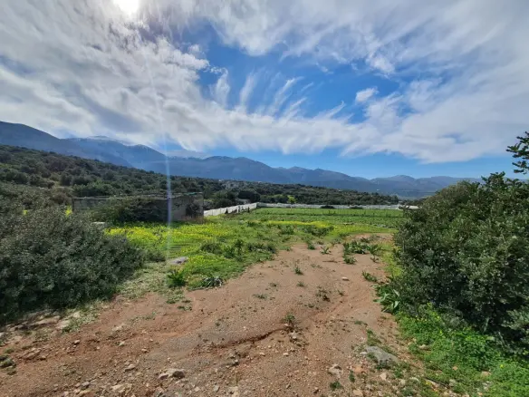 Land In Vrachasi, Greece