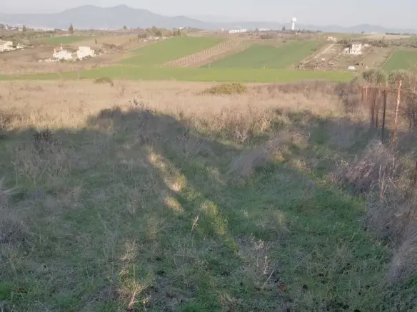 Land In Thermaikos, Greece (5.856 M²)