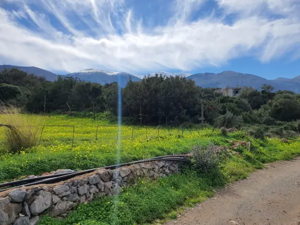 Land In Vrachasi, Greece