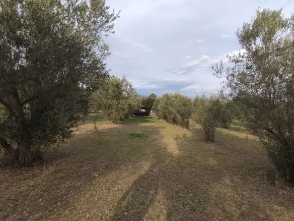 3-bedroom Detached House In Katerini, Greece (156 M²)