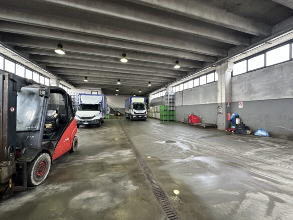 Capannone Industriale Ospedaletto (pisa)