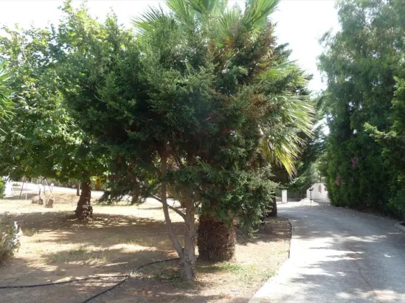 Complex In Kastro Killinis, Greece (332 M²)