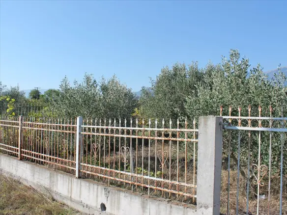 Land In Litochoro, Greece