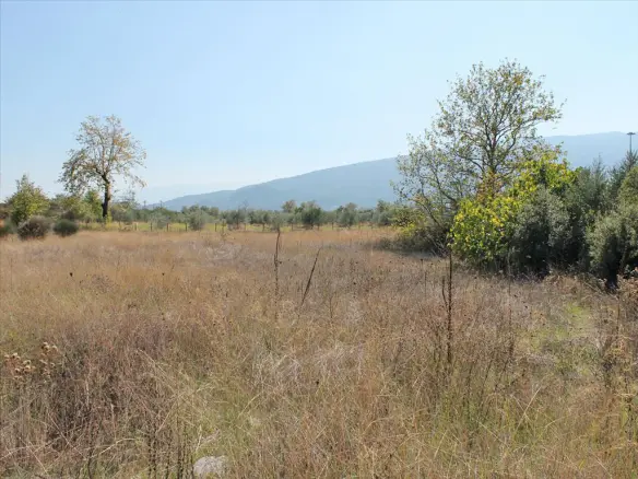 Business In Easts Olimpos, Greece (470 M²)