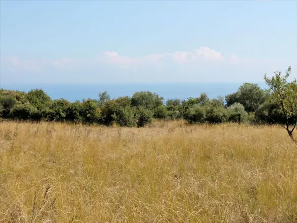Land In Litochoro, Greece