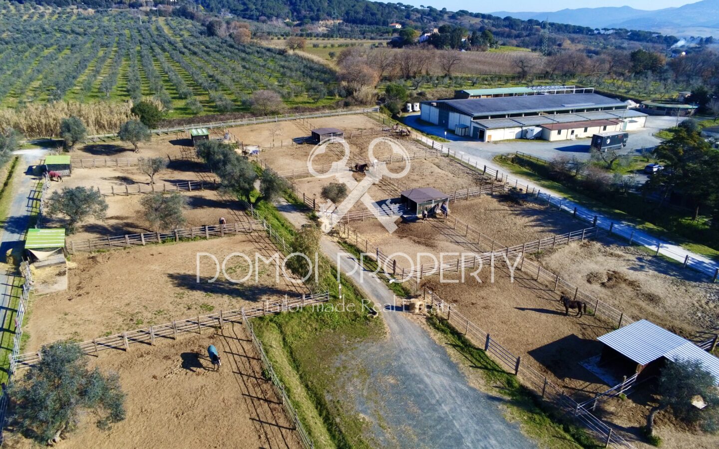 Azienda Agrituristica – Villa Rosignano Marittimo (livorno)