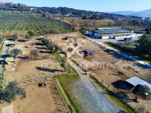 Azienda Agrituristica – Villa Rosignano Marittimo (livorno)