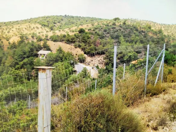 Land In Thasos, Greece
