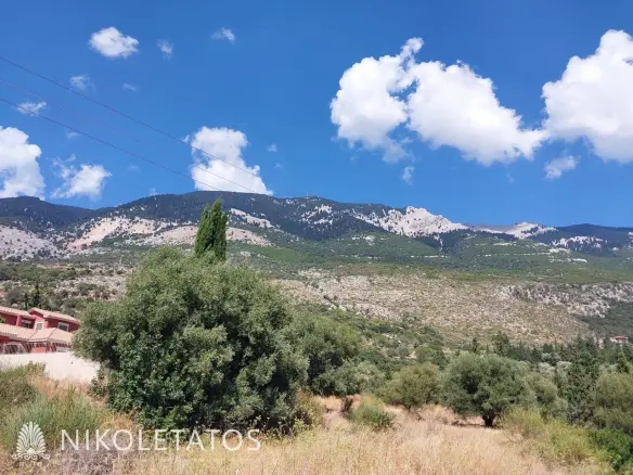 Plot Of Land Available In Lourdas, Greece