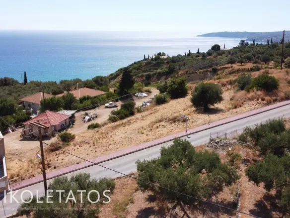 Plot Of Land Available In Lourdas, Greece